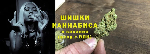 МДПВ Верхний Тагил
