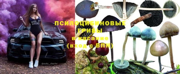 МДПВ Верхний Тагил